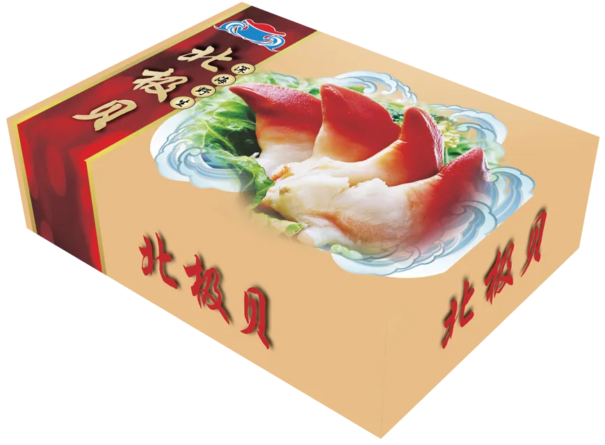 北极贝彩盒 · 立体图